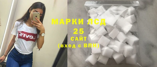 ПСИЛОЦИБИНОВЫЕ ГРИБЫ Чекалин