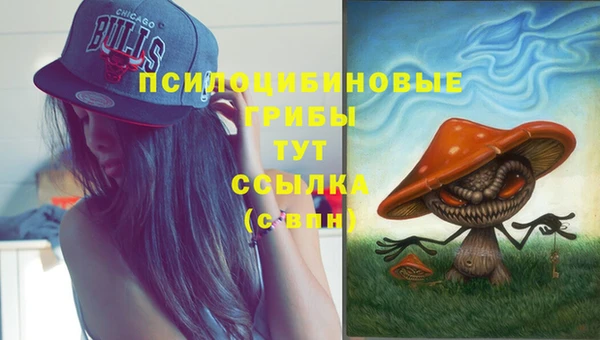ПСИЛОЦИБИНОВЫЕ ГРИБЫ Чекалин