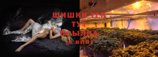 ПСИЛОЦИБИНОВЫЕ ГРИБЫ Чекалин